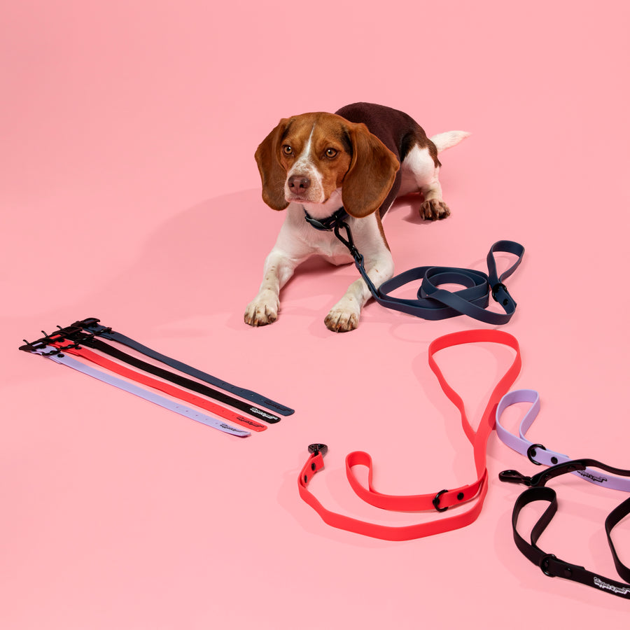 Waterproof Dog Leash - Pink Pow