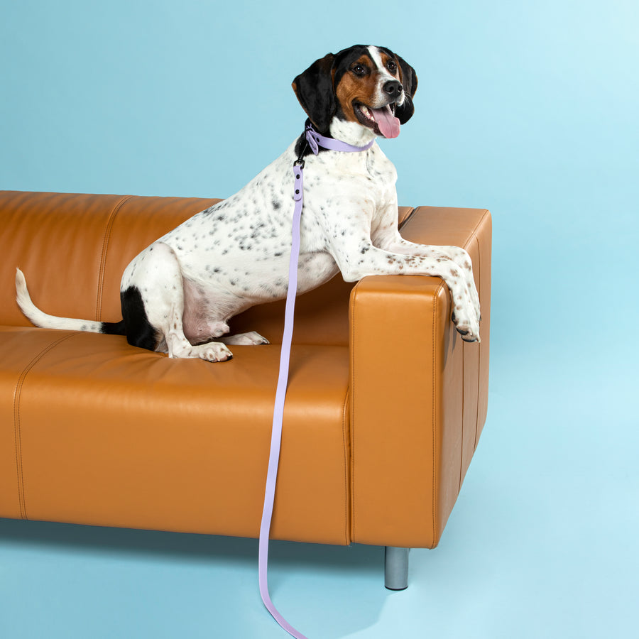 Waterproof Dog Collar - Lilac