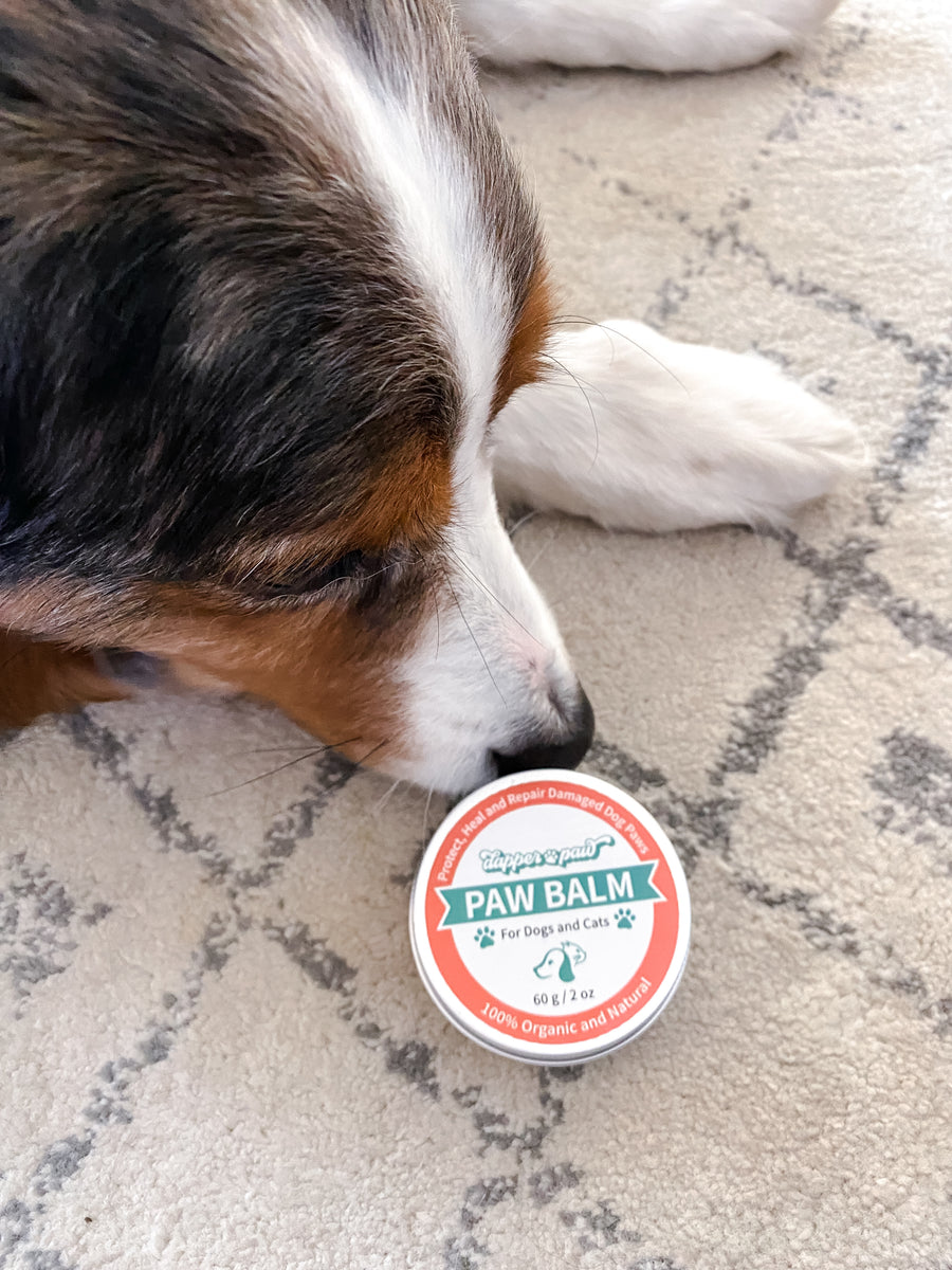 Paw Balm | Protective Balm for Dog & Cat Paws | SALE!