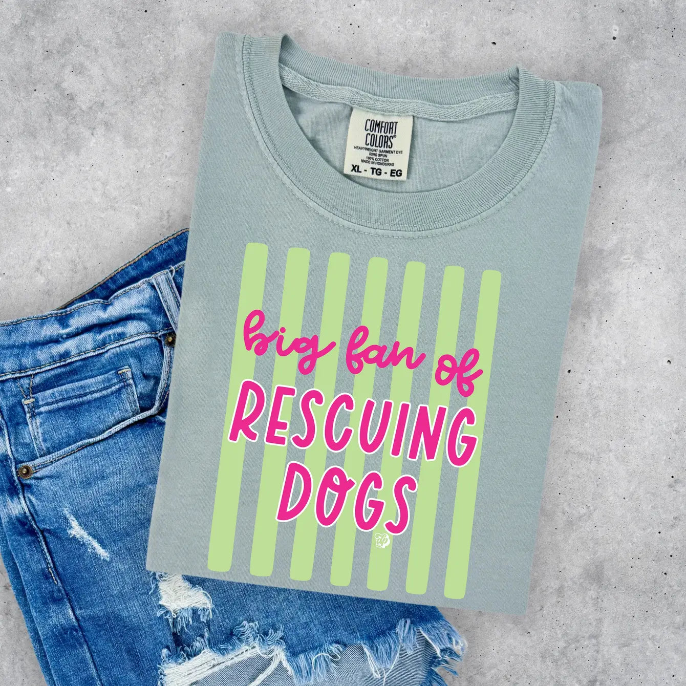 Big Fan of Rescuing Dogs Tee | DP1300