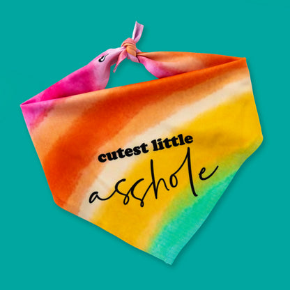 Cutest Little Asshole Bandana