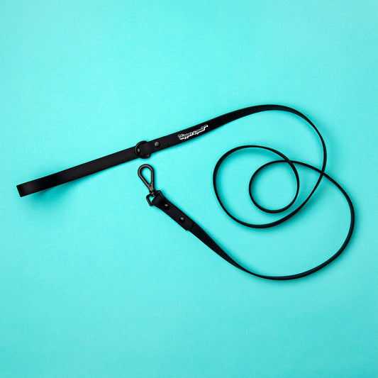 Waterproof Dog Leash - Pepper