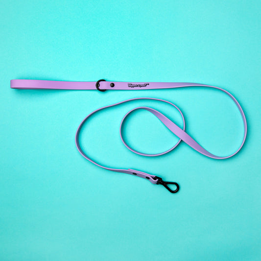 Waterproof Dog Leash - Lilac