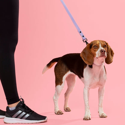 Waterproof Dog Leash - Lilac