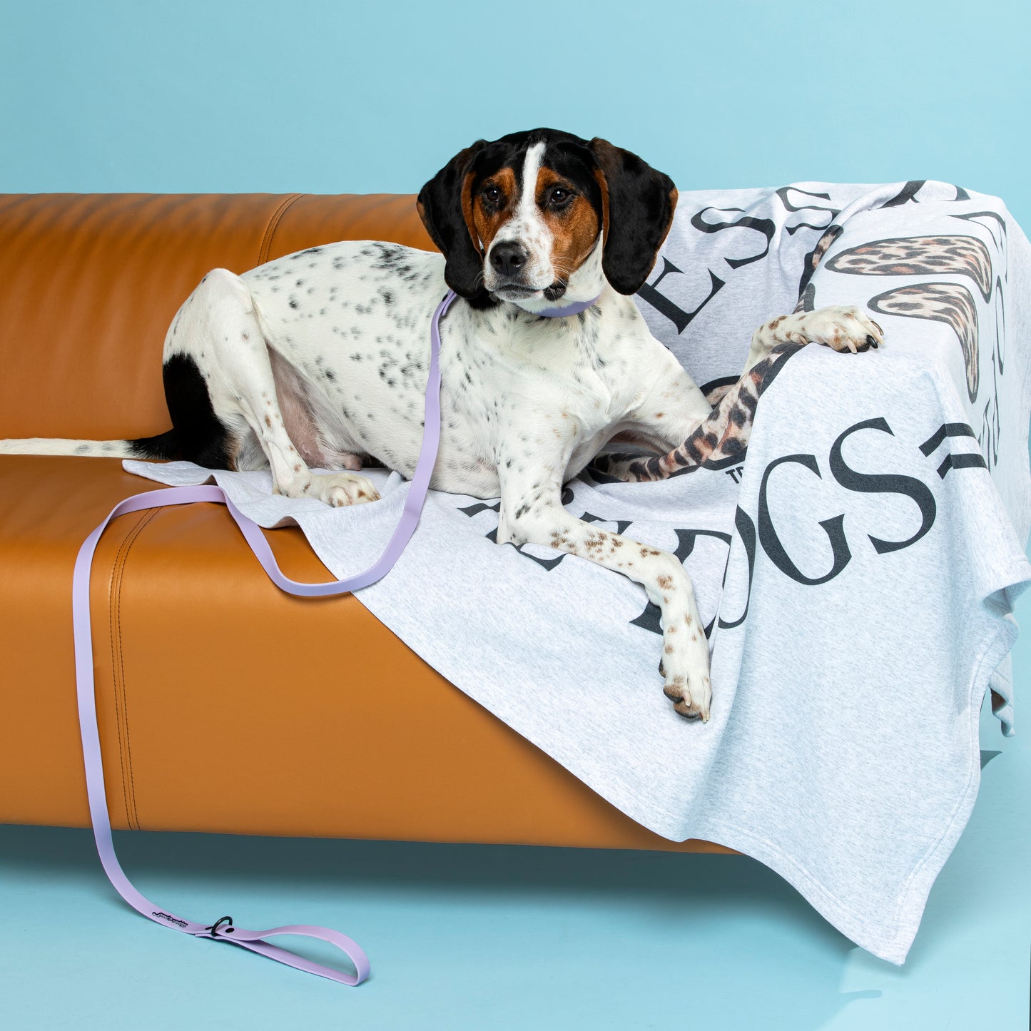 Waterproof Dog Leash - Lilac