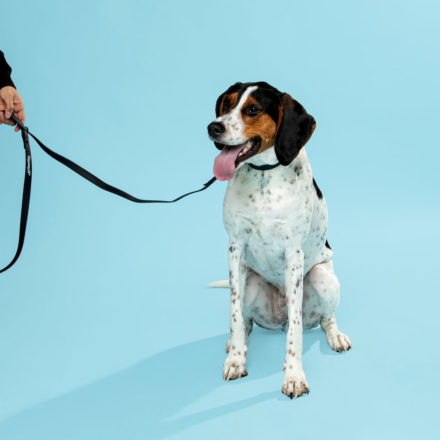 Waterproof Dog Leash - Pepper
