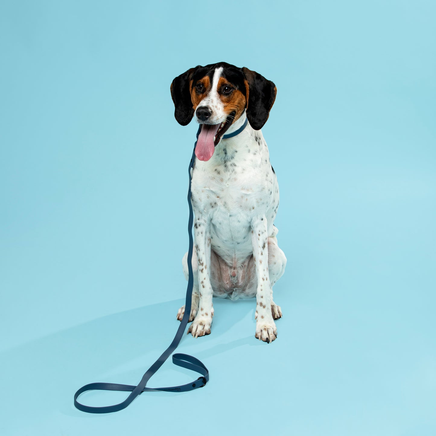 Waterproof Dog Collar - Midnight