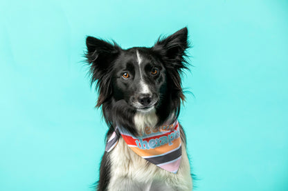 Freelance Therapist Bandana