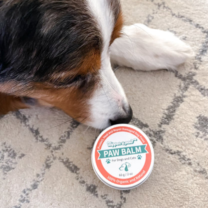 Paw Balm | Protective Balm for Dog & Cat Paws | SALE!