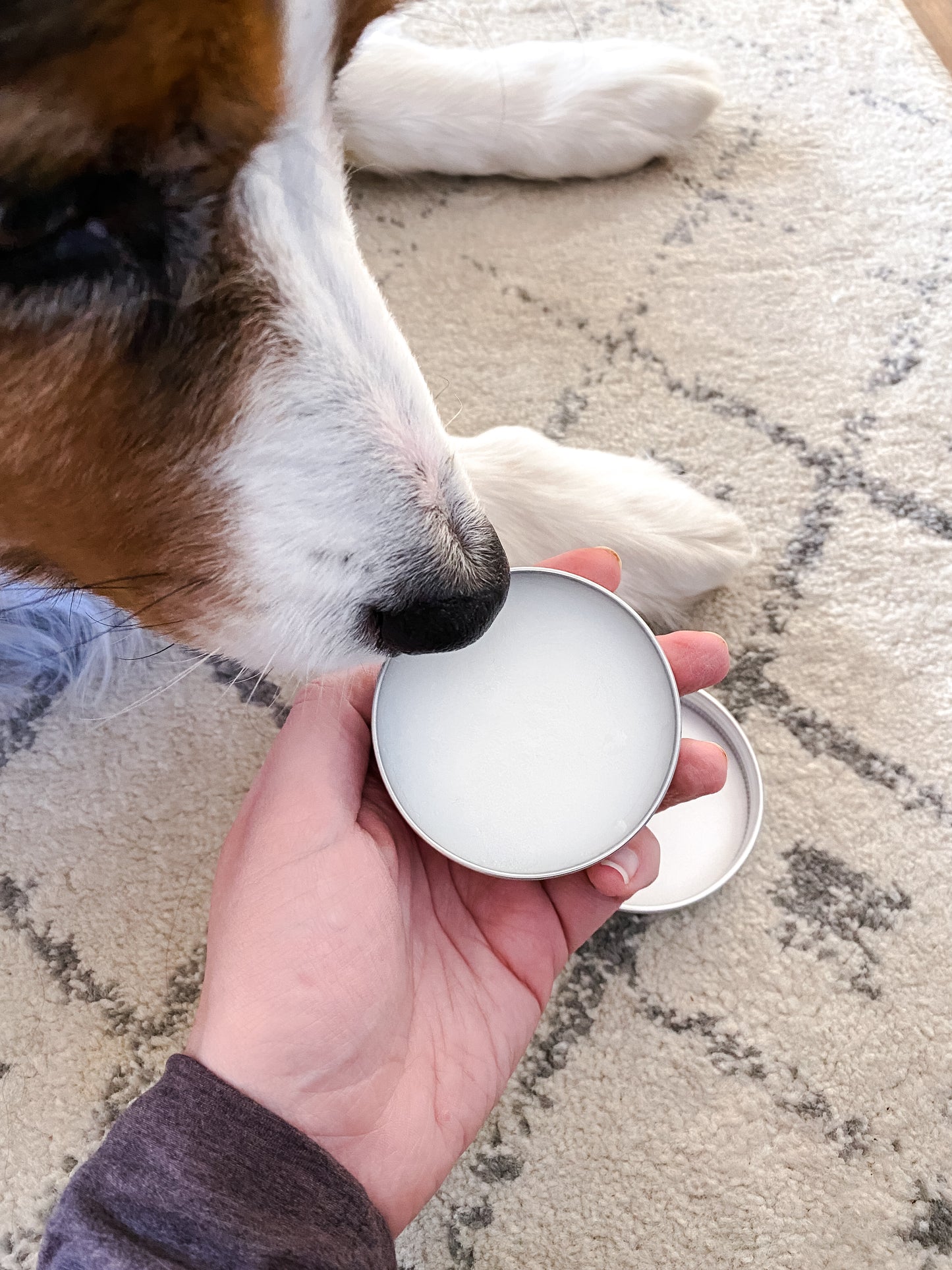 Paw Balm | Protective Balm for Dog & Cat Paws | SALE!