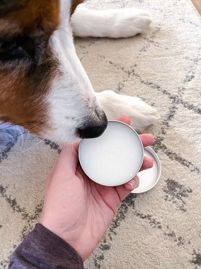 Paw Balm | Protective Balm for Dog & Cat Paws | SALE!