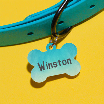 Winston Watercolor Pet ID Tag
