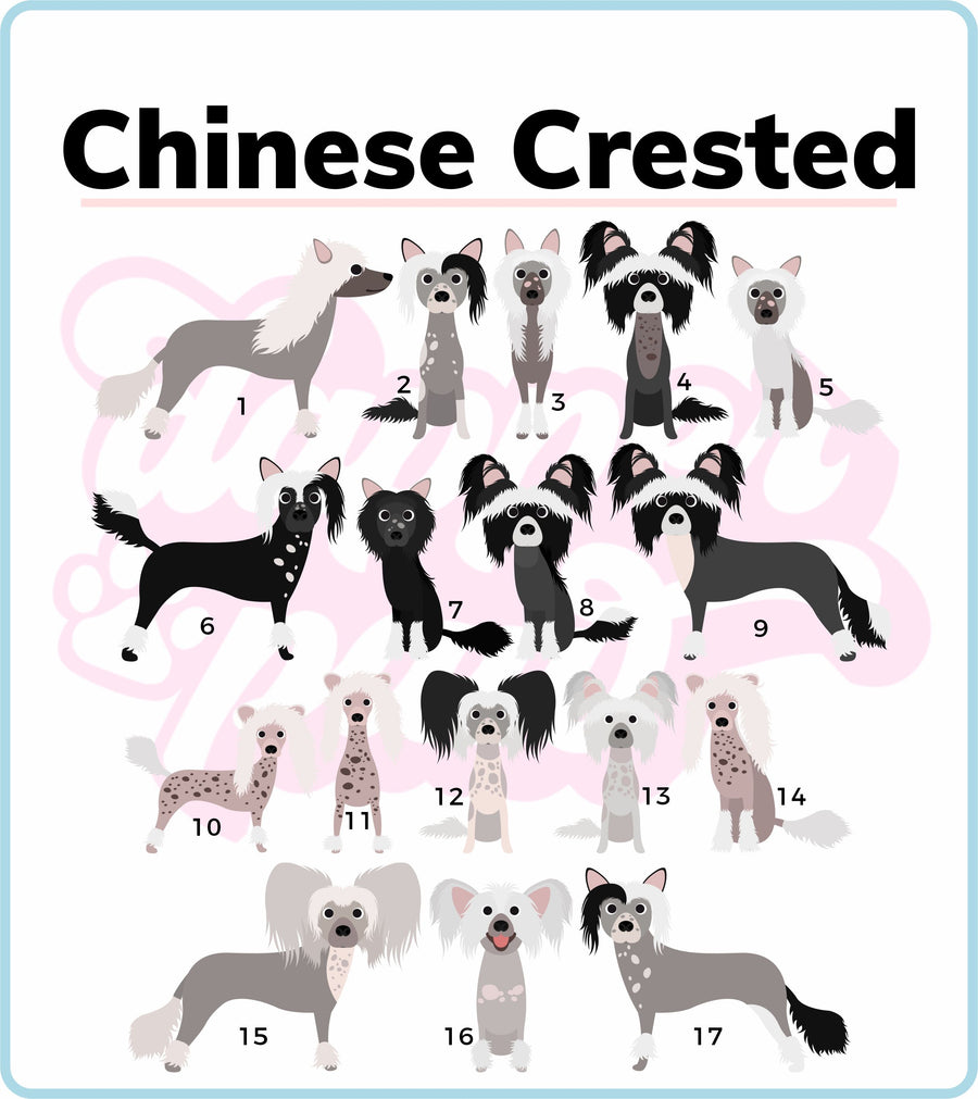 Chinese Crested Dog Mug