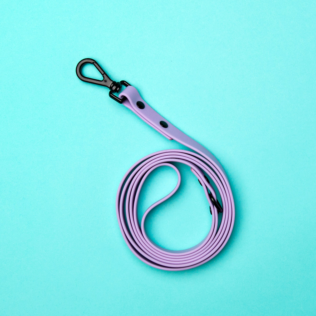 Leash - Lilac
