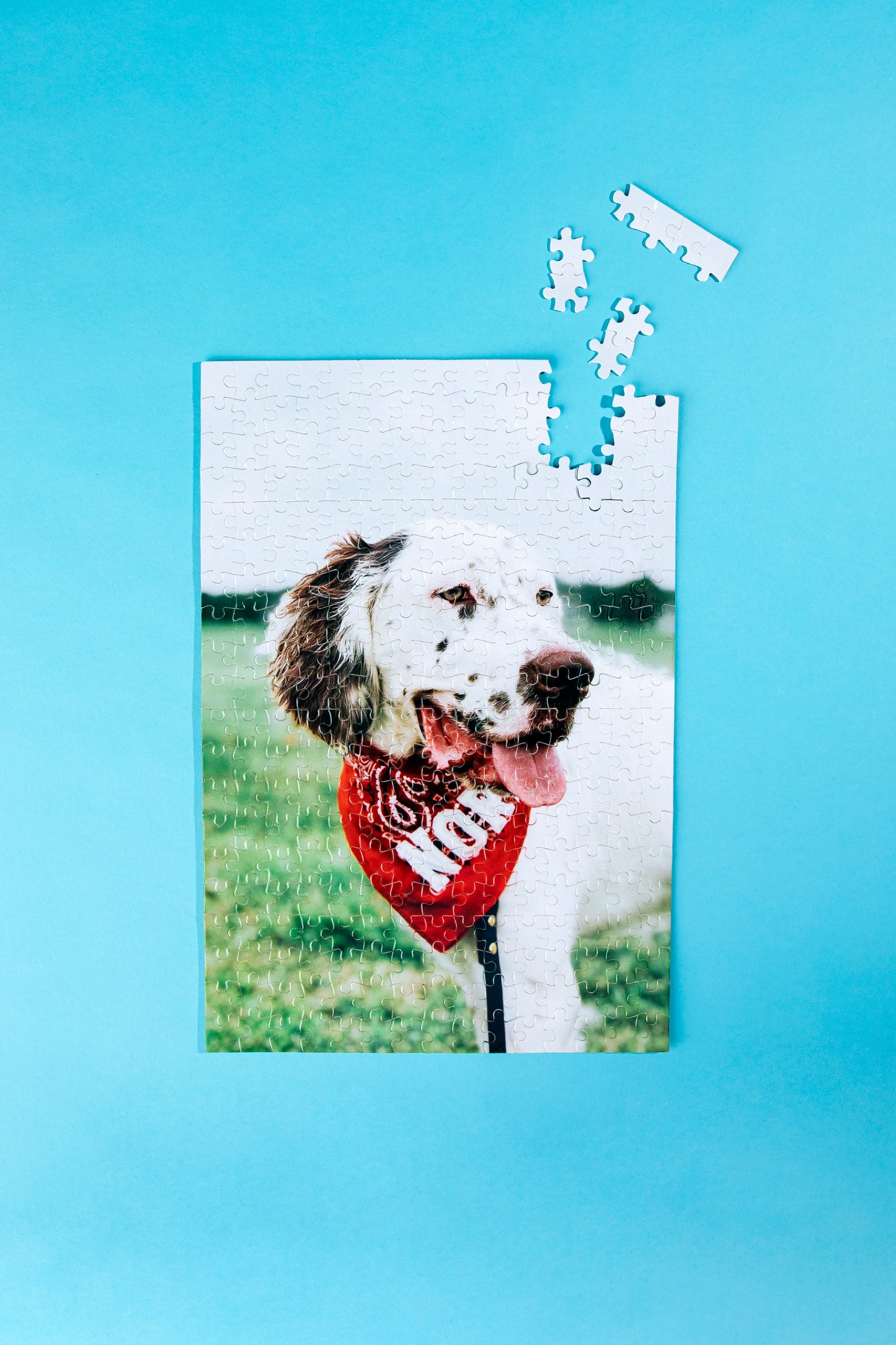 300 Piece Photo Puzzle
