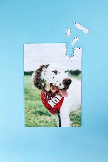 300 Piece Photo Puzzle (WS)