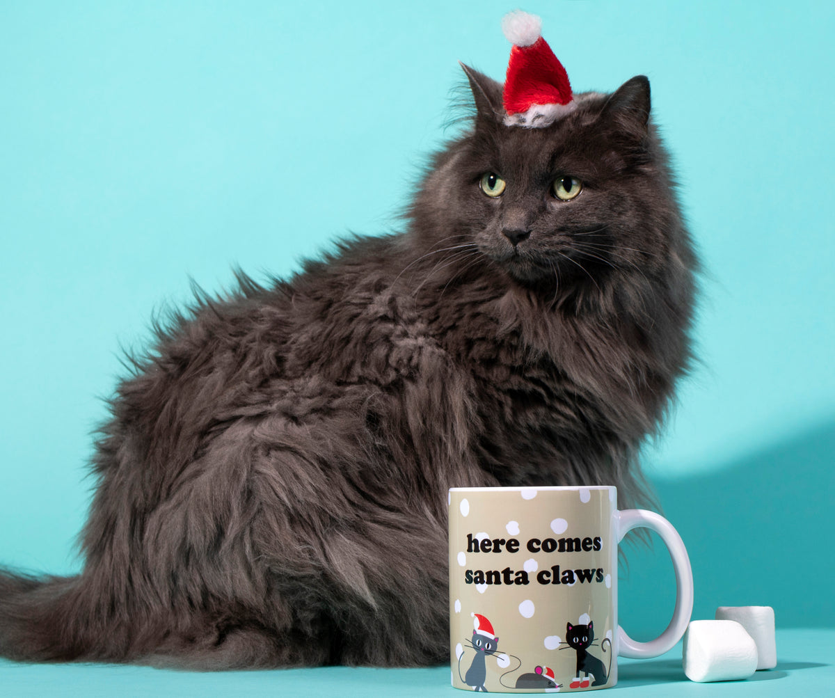 Here Comes Santa Claws Mug - The Dapper Paw