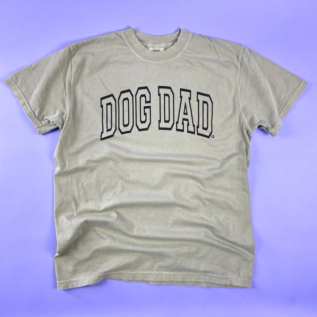 Arched Collegiate Dog Dad Tee | DP1137