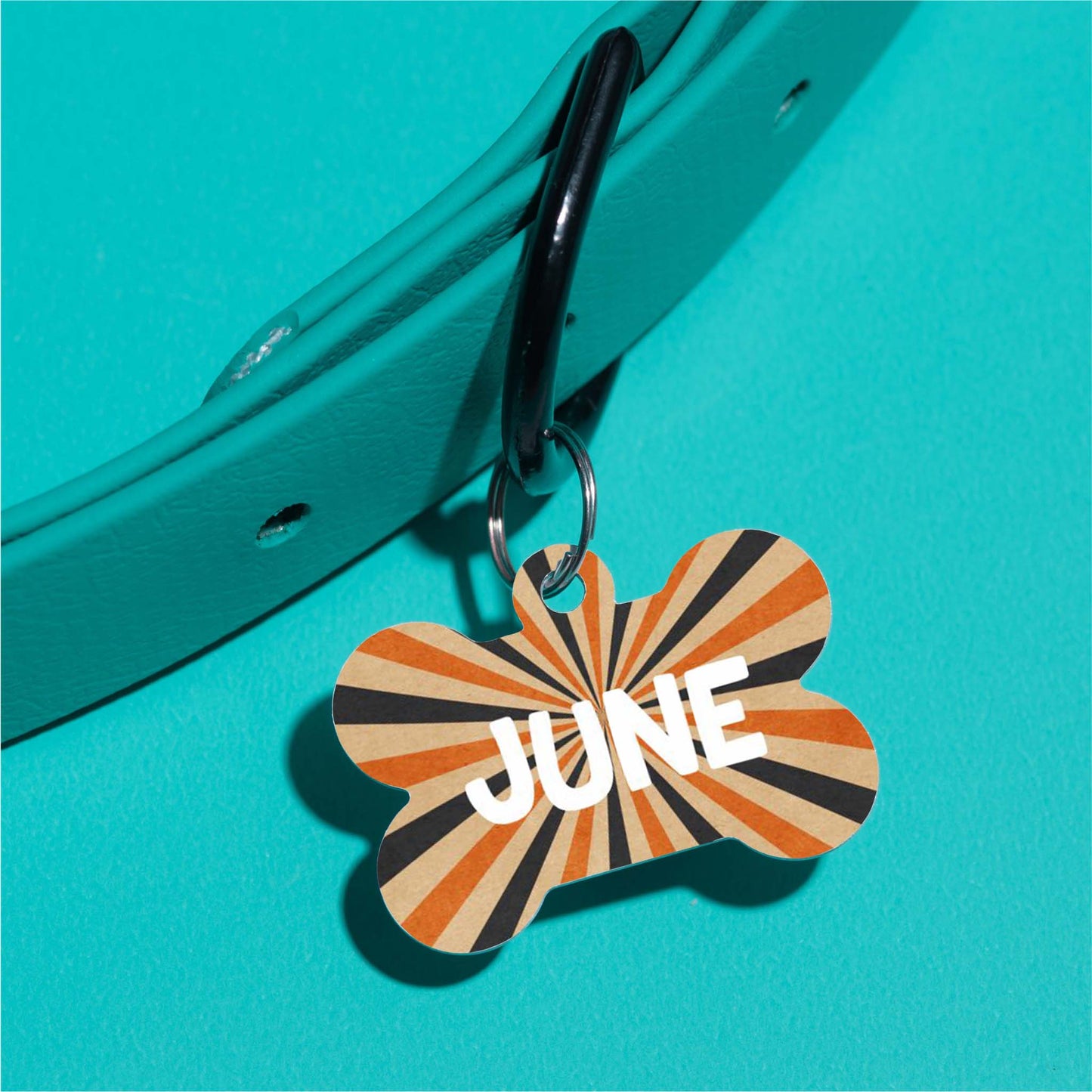 June's Halloween Stripes ID Tag