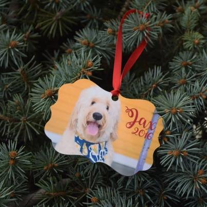 Double Sided Photo Ornament - The Dapper Paw
