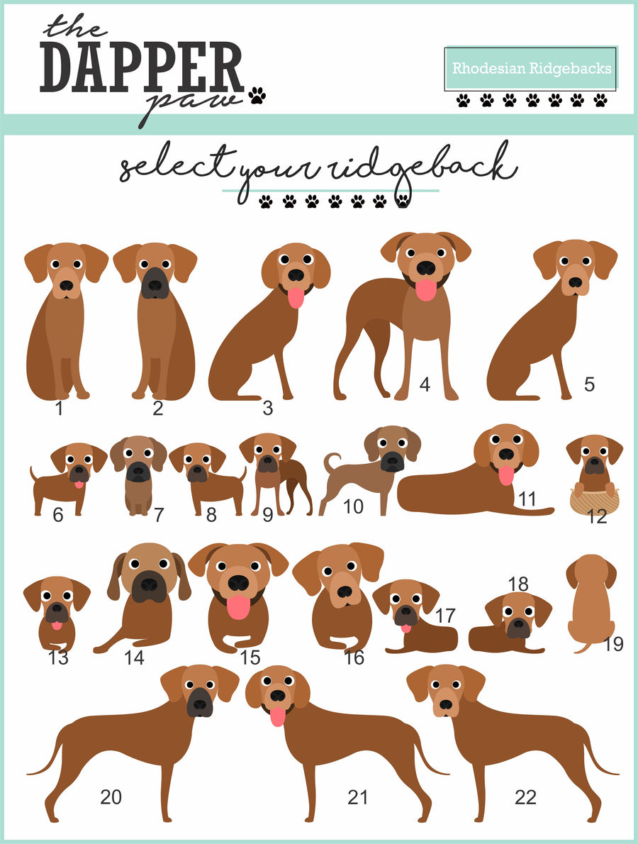 ALL BREEDS - Single Pet Magnet - The Dapper Paw