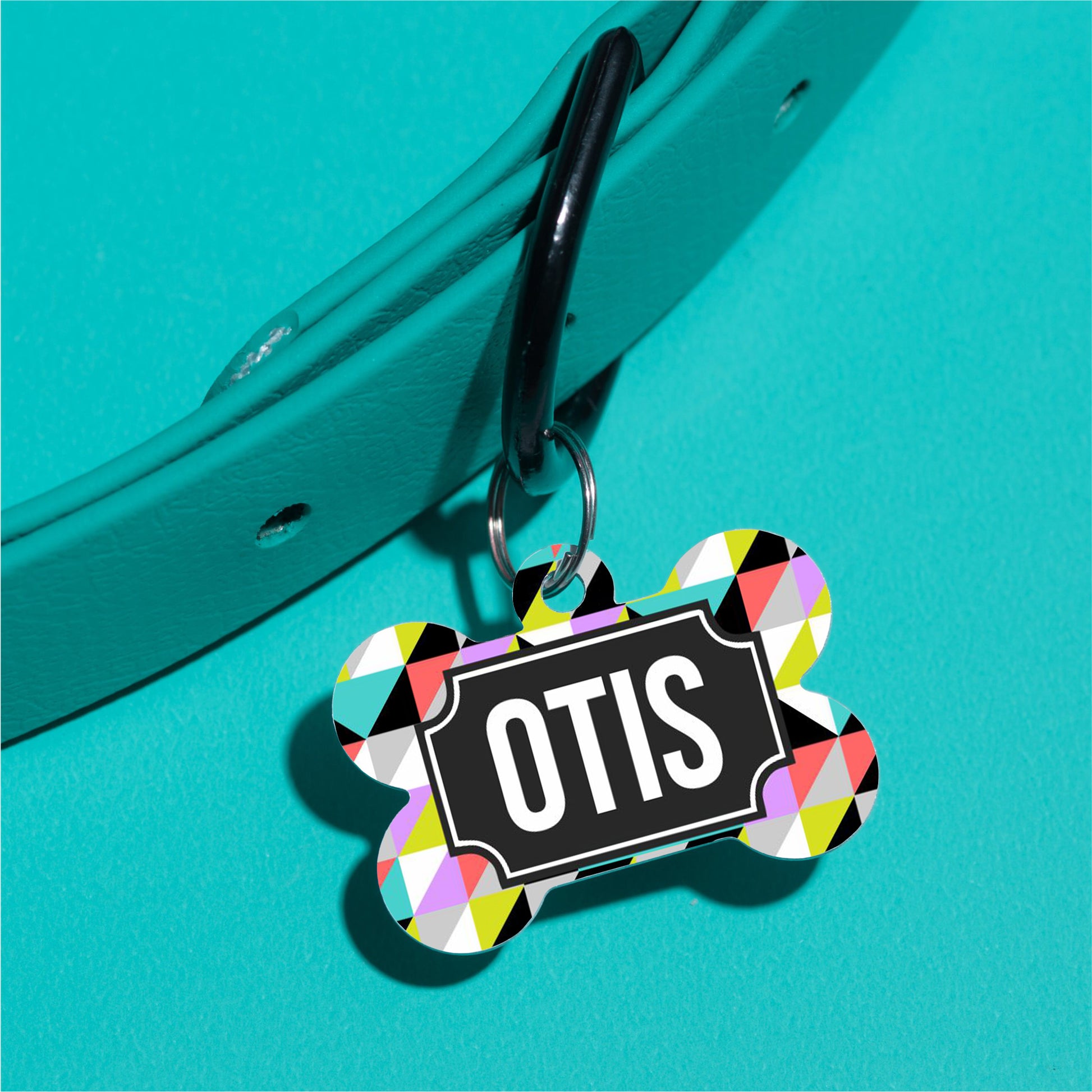 Bright Multi Triangle Pet ID Tag - The Dapper Paw
