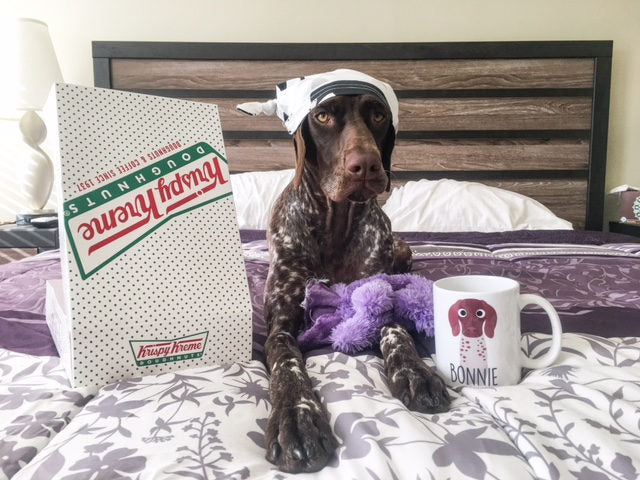 German Shorthair Mug - The Dapper Paw